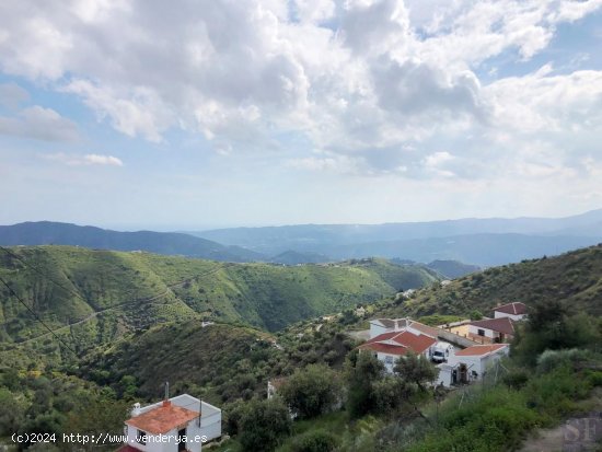 Parcela en venta en Canillas de Aceituno (Málaga)