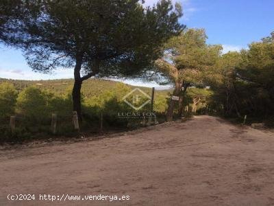 Finca en venta en Castellet i la Gornal (Barcelona)