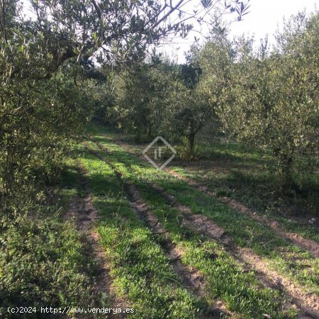 Finca en venta en Castellet i la Gornal (Barcelona)