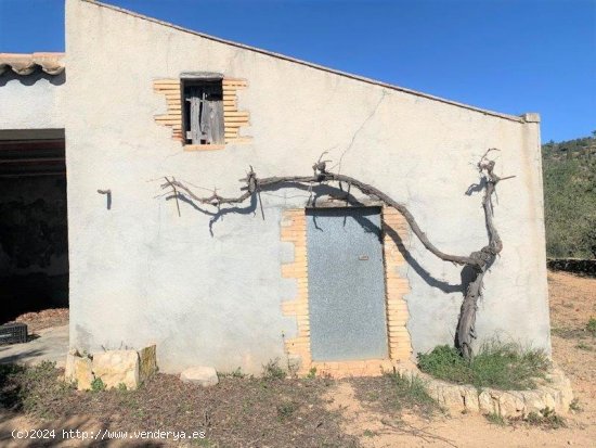 Finca en venta en El Perelló (Tarragona)