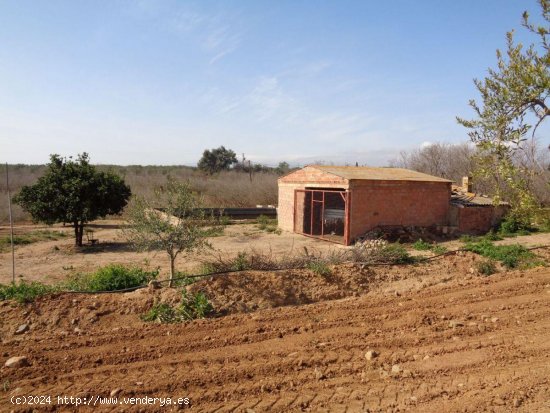 Finca en venta en Riudoms (Tarragona)