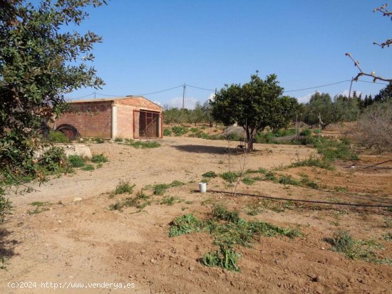 Finca en venta en Riudoms (Tarragona)