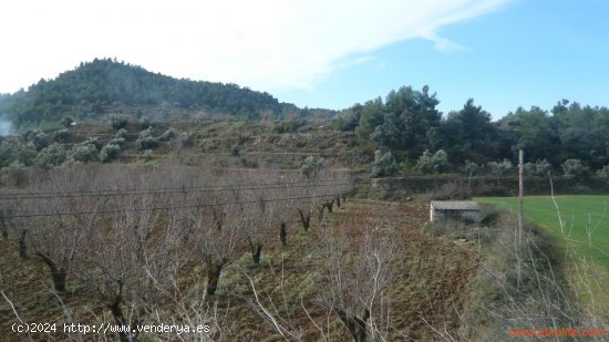 Finca en venta en La Fresneda (Teruel)