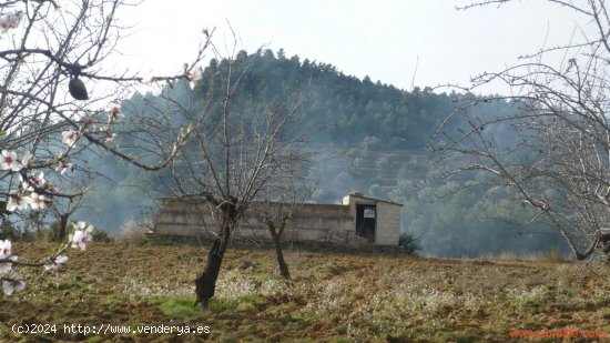 Finca en venta en La Fresneda (Teruel)