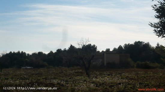 Finca en venta en La Fresneda (Teruel)