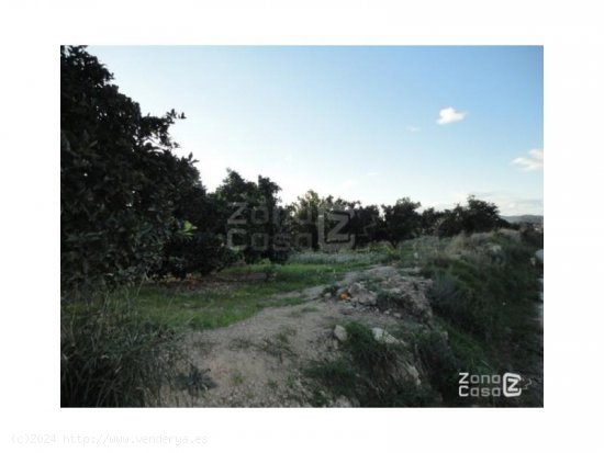 Finca en venta en Alfarp (Valencia)