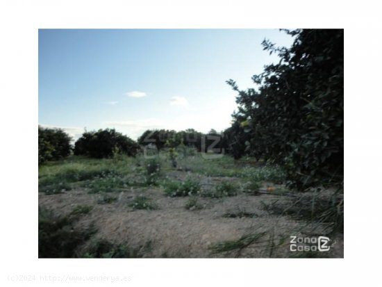 Finca en venta en Alfarp (Valencia)