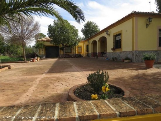 Casa en venta en Osuna (Sevilla)