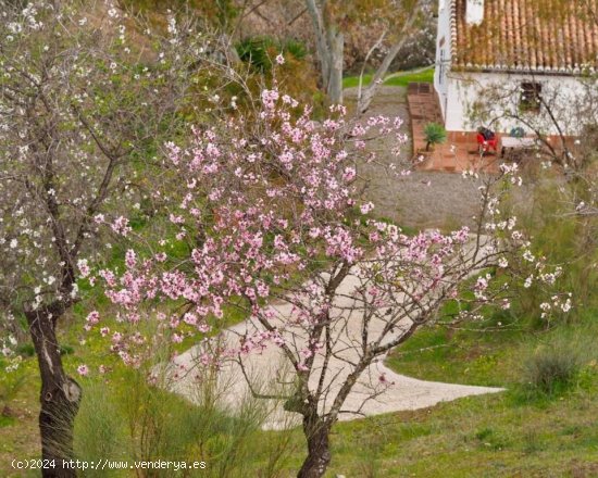 Casa en venta en Álora (Málaga)