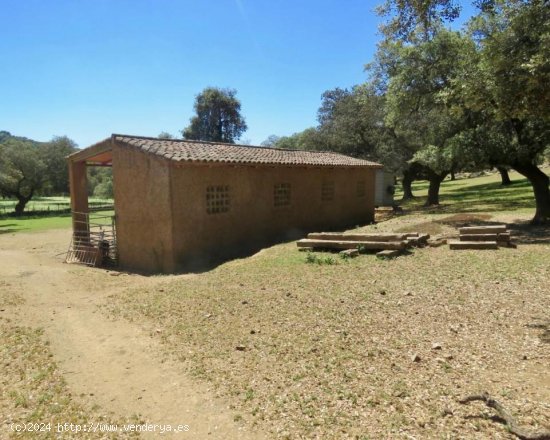 Casa en venta en Almadén de la Plata (Sevilla)