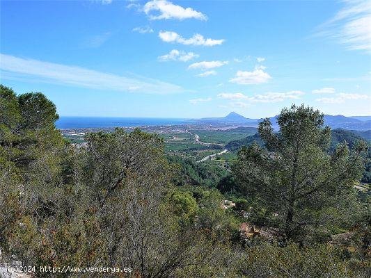 Solar en venta en Oliva (Valencia)