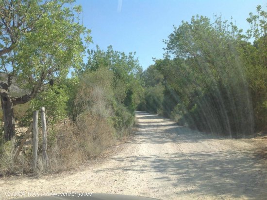 Chalet en alquiler en Calvià (Baleares)