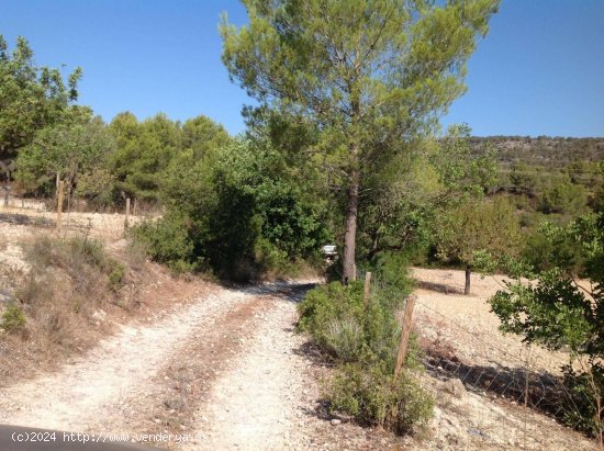 Chalet en alquiler en Calvià (Baleares)