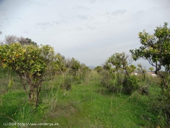 Parcela en venta en Alhaurín de la Torre (Málaga)