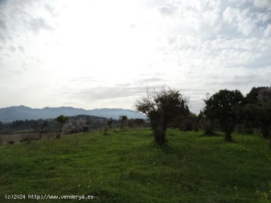 Parcela en venta en Alhaurín de la Torre (Málaga)