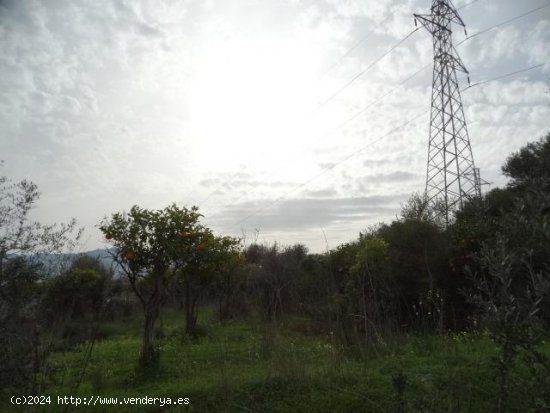 Parcela en venta en Alhaurín de la Torre (Málaga)