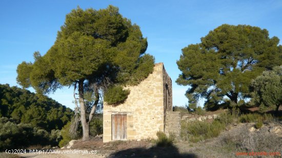 Finca en venta en Maella (Zaragoza)