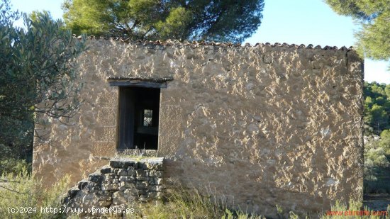 Finca en venta en Maella (Zaragoza)