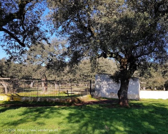  Casa en venta en Higuera de la Sierra (Huelva) 