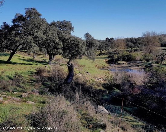 Casa en venta en Higuera de la Sierra (Huelva)