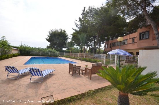  Chalet en venta en Torrevieja (Alicante) 