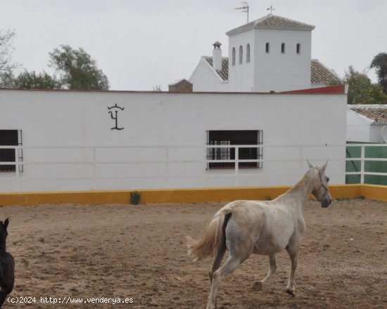 Local en venta en La Puebla de Cazalla (Sevilla)