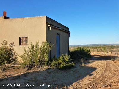 Finca en venta en Fabara (Zaragoza)