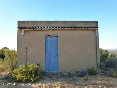 Finca en venta en Fabara (Zaragoza)