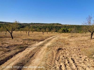 Finca en venta en Maella (Zaragoza)