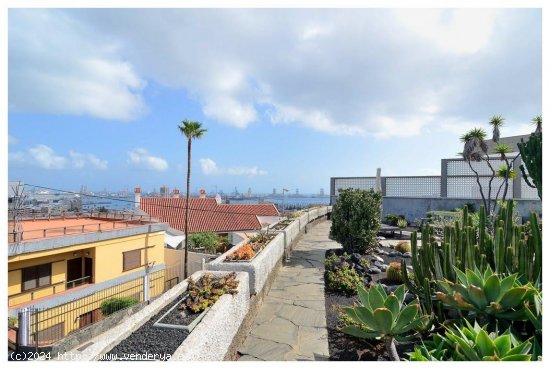 Chalet en venta en Las Palmas de Gran Canaria (Las Palmas)