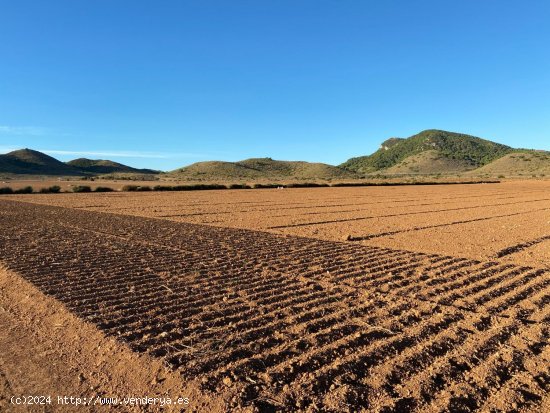  Finca en venta en Murcia (Murcia) 