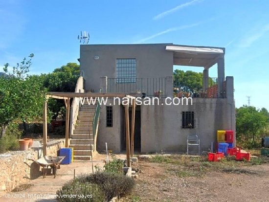 Finca en venta en Benicasim (Castellón)