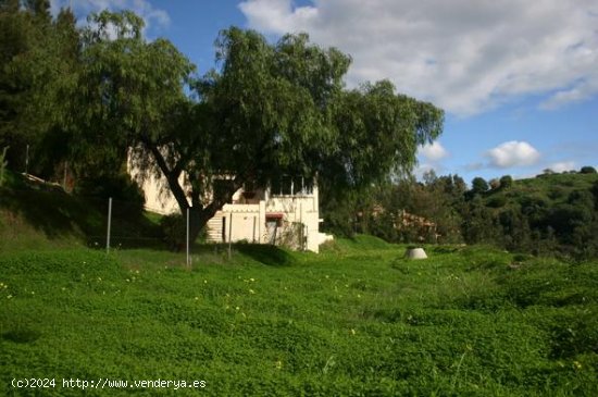 Parcela en venta en Benahavís (Málaga)