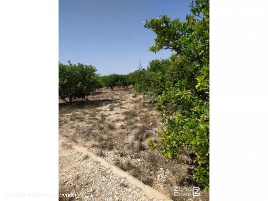 Finca en venta en Algemesí (Valencia)