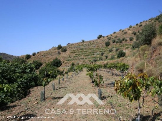 Finca en venta en Totalán (Málaga)