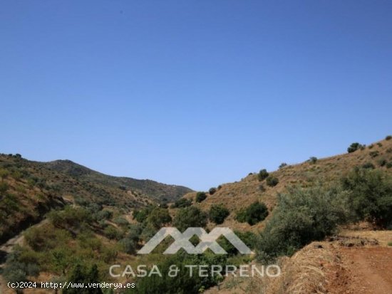 Finca en venta en Totalán (Málaga)