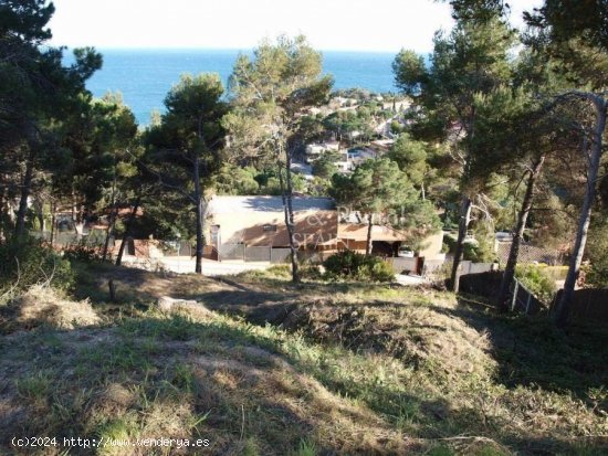 Parcela en venta en Blanes (Girona)