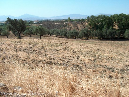 Finca en venta en Alhaurín el Grande (Málaga)