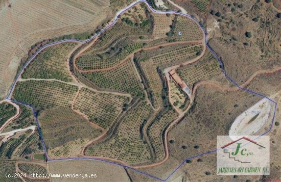 Finca en venta en Vélez-Málaga (Málaga)