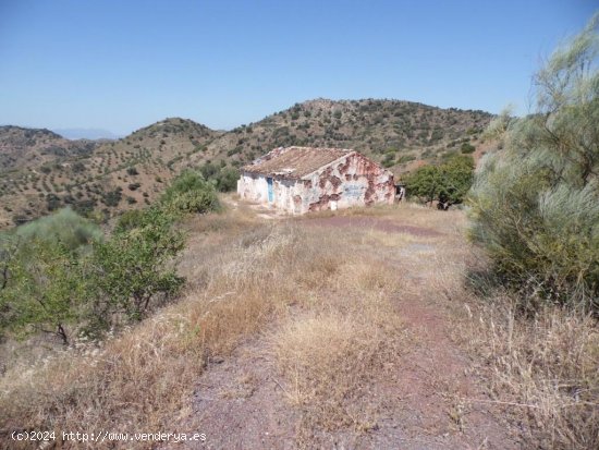 Finca en venta en Almogía (Málaga)