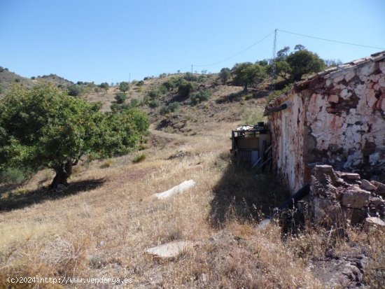 Finca en venta en Almogía (Málaga)