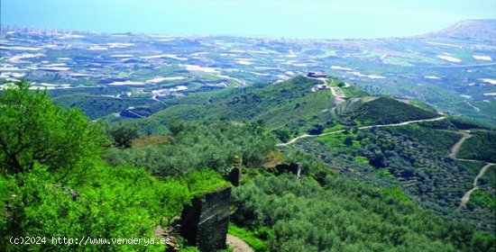 Parcela en venta en Arenas (Málaga)