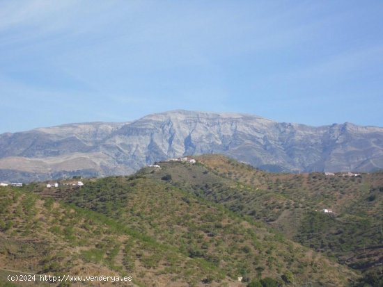 Parcela en venta en Arenas (Málaga)