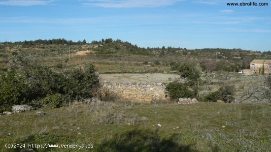  Finca en venta en Cretas (Teruel) 