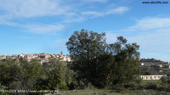 Finca en venta en Cretas (Teruel)