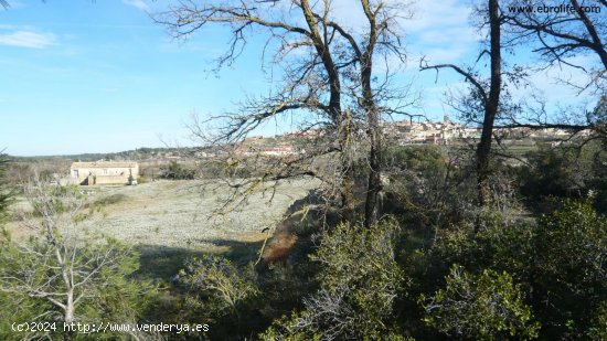 Finca en venta en Cretas (Teruel)