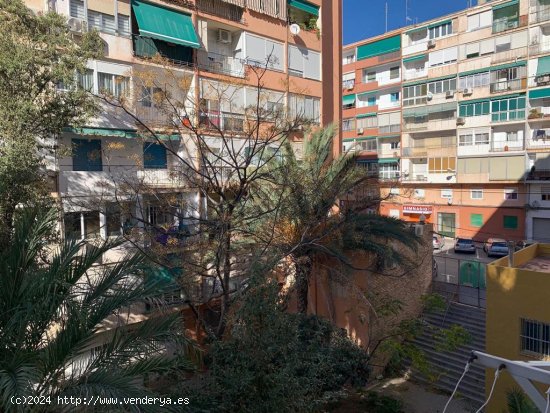 Piso en venta en Alicante (Alicante)