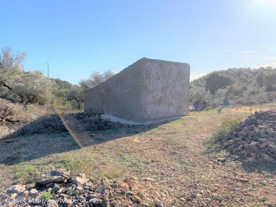  Finca en venta en El Perelló (Tarragona) 