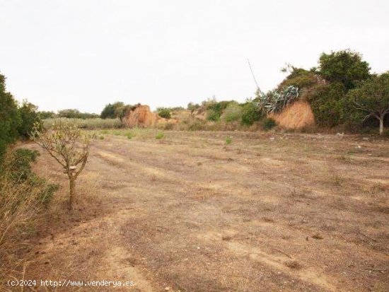 Solar en venta en El Perelló (Tarragona)