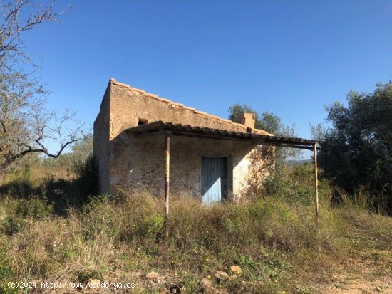 Finca en venta en El Perelló (Tarragona)